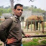 Hamza Alqatameen