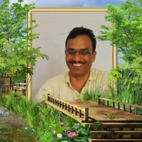Manoj Yadav