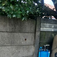 Kudzai Victor Mandizvidza