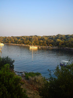 Ilectra Anton