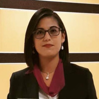 Diana Fabiola Limón Martínez