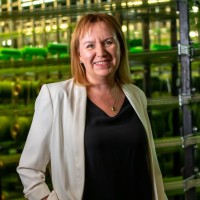 Aleksandra Świtakowska