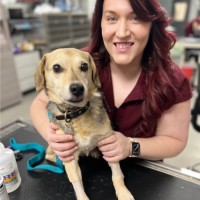 Jaima Gropp LVT, VTS (ECC), CCFP, Elite FFCP