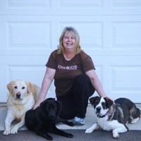 Donna Proffitt