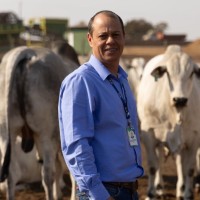 Allan Vinicius Rodrigues Belem