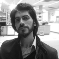 M. Zeeshan Ozair, Md, Phd