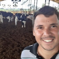 Otávio Martins