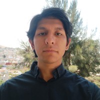 Luis Flores