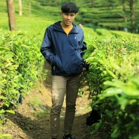 Choerul Anam