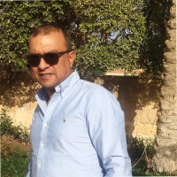Alaa Saleh