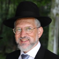 Dovid Fendel