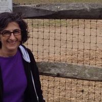 Nancy Steinberg