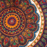 Banafsheh Akbarzadeh