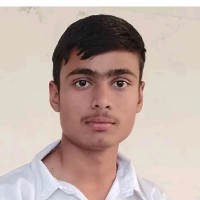 Vikash Meena