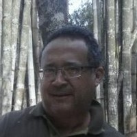 loro gomes