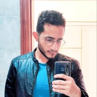 Hesham Elsalamony