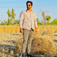 Jehanzaib Anwar