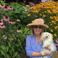 Judy Zelinski
