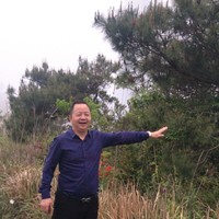 周礼兴