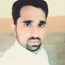 Cricket Lover