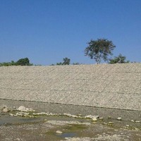 MANUEL YAÑEZ CAMPOS