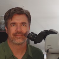 Erich Volschenk