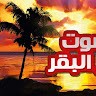 احمد السيد محمد