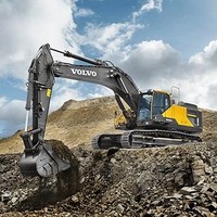 Yachiro bruno Pallas