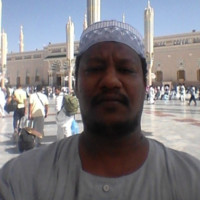 ali obeid Haj Ali