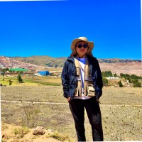 Luis Fernando Galvan Morales