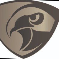AAA SECURITY SOLUTIONS