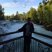 Ali Kocer