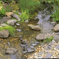 Richard van der Hoeven