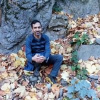 Saeed Moayya