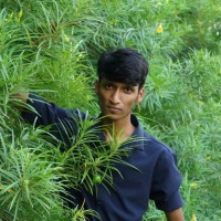 Amaran K