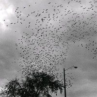 Jonathan Furlan