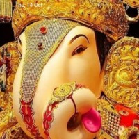 Nilesh Chavhan