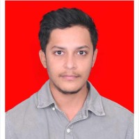 Vikas raj