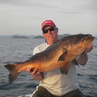 curt hall