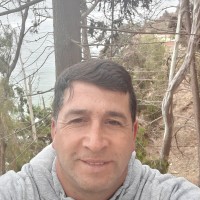 Luis Humberto Araya Gonzalez