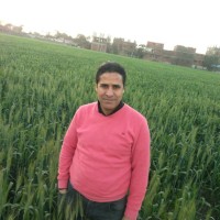 Hatem Meligy