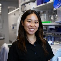 Ashley J. Chui, PhD