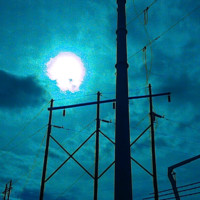 Kody Patton