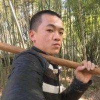 陈良伟
