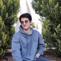 mahdi Borhani