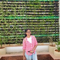 Neelima Mandapati