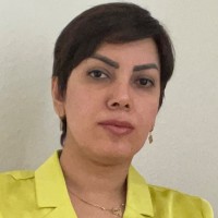 Saeideh Sheikhpour