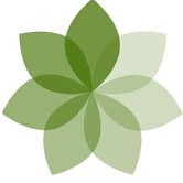For The Seventh Generation