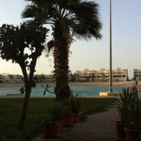 Tarek Mohamed Elahmady