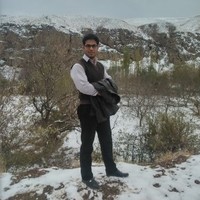 mojtaba hasani